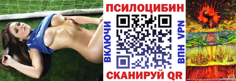 Галлюциногенные грибы Psilocybe  Бабушкин 